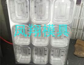 吸塑模具10